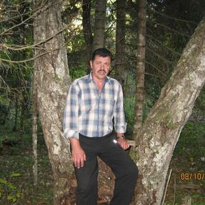Виктор Макаров, 70 лет, Пятигорск