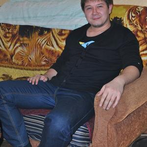 Дамир, 36 лет, Томск