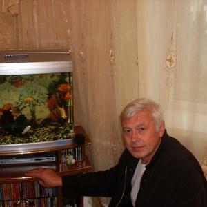 Евгений Каргаполов, 65 лет, Ужур