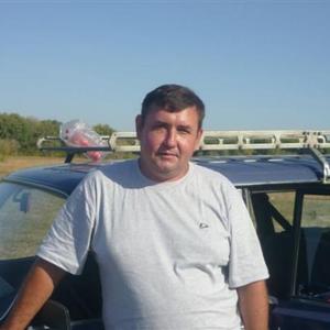 Владимир, 56 лет, Волгоград