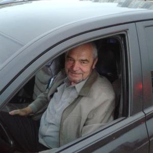 Дмитрий Бойко, 67 лет, Нижневартовск