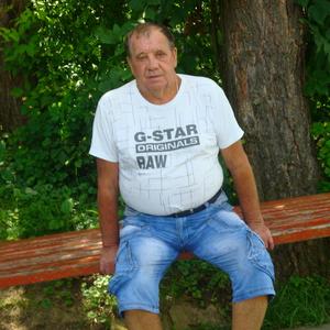 Алексей Гавриков, 79 лет, Тула