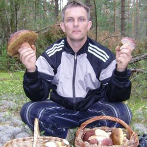 Владимир, 51 год, Гусь-Железный