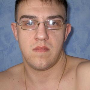 Андрей Кудрявцев, 43 года, Шатура