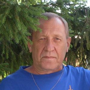 Владислав Кузнецов, 74 года, Ставрополь