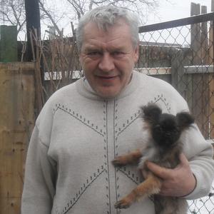 Александр Ковальчук, 66 лет, Таганрог