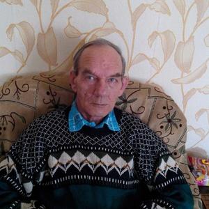 Александр, 78 лет, Нижний Новгород