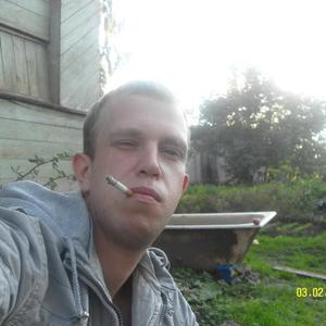 Алексей, 35 лет, Череповец