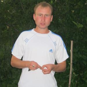 Колян, 36 лет, Ленинск-Кузнецкий