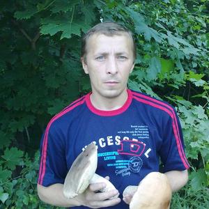 Юрий, 46 лет, Тула