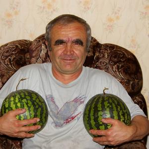 Виталий, 71 год, Набережные Челны