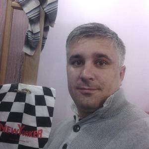 Александр Никитин, 49 лет, Саратов