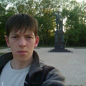 Александр, 39 лет, Волхов