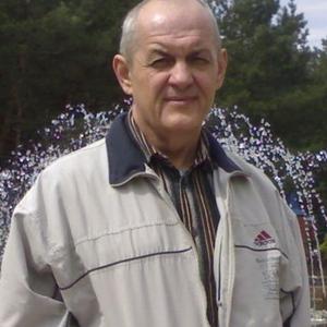Александр, 63 года, Нижний Тагил
