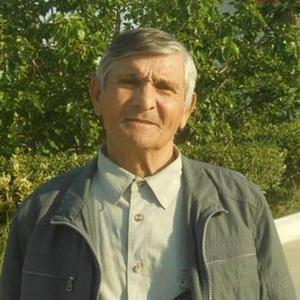 Хаким, 76 лет, Казань
