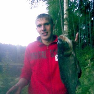 Сергей, 37 лет, Александров