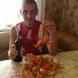 Сергей, 39 лет, Ногинск