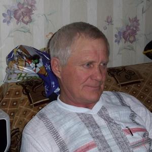 Виктор, 71 год, Белозерск