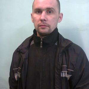 Денис Тарасов, 40 лет, Петрозаводск