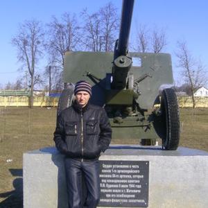 Сергей, 39 лет, Житковичи