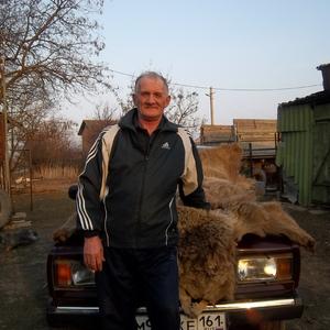 Владимир Воронин, 71 год, Ростов-на-Дону