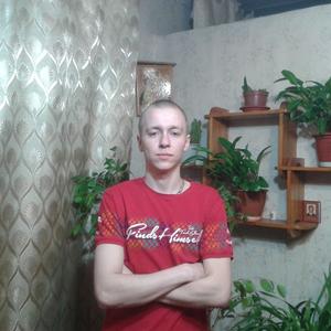 Денис, 32 года, Кольчугино
