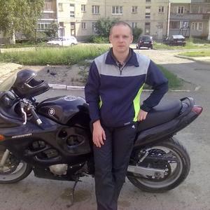 Андрей, 42 года, Полевской