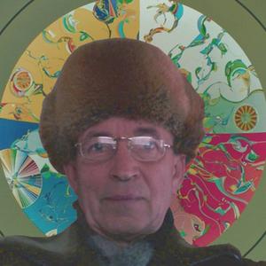 Алексей, 72 года, Бокситогорск