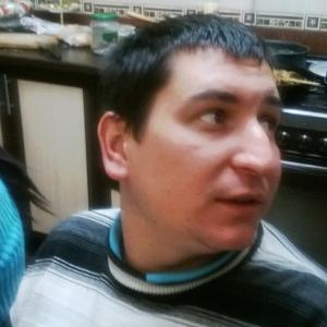 Антон, 38 лет, Прохладный